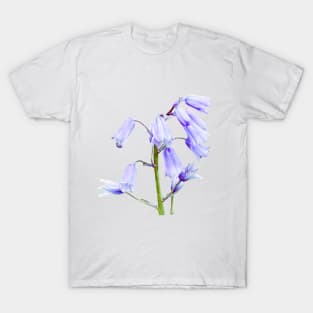 English Bluebell Flowers T-Shirt